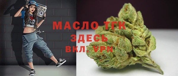 тгк Абаза