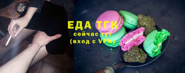 тгк Абаза