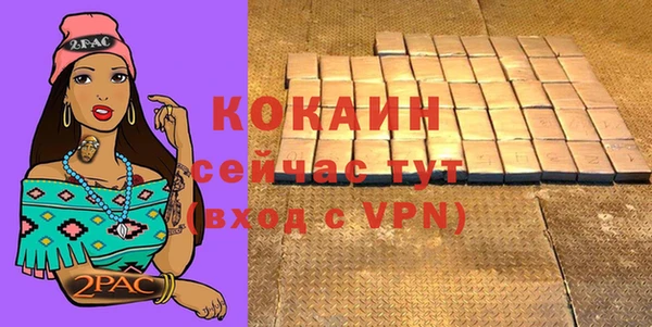 тгк Абаза