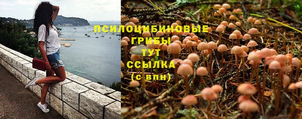 тгк Абаза