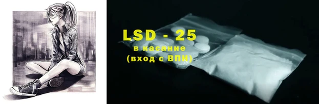 индика Лабытнанги