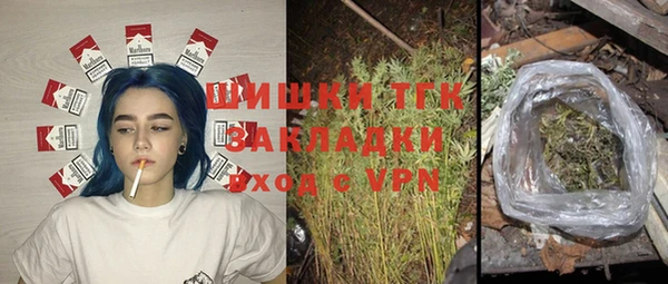 индика Лабытнанги
