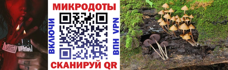 hydra ссылки  как найти закладки  Щёкино  Галлюциногенные грибы мухоморы 